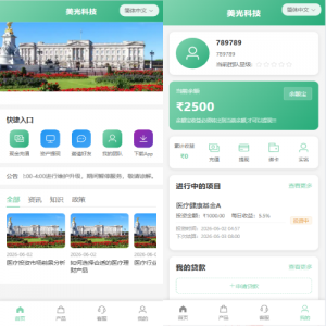 新版海外投资理财系统/医疗项目基金投资/贷款/余额宝