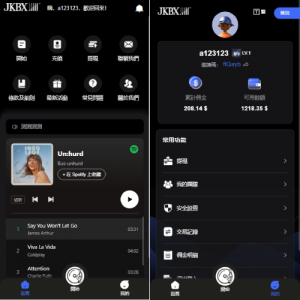 海外音乐抢单刷单系统/卡单/重置订单/前端VUE